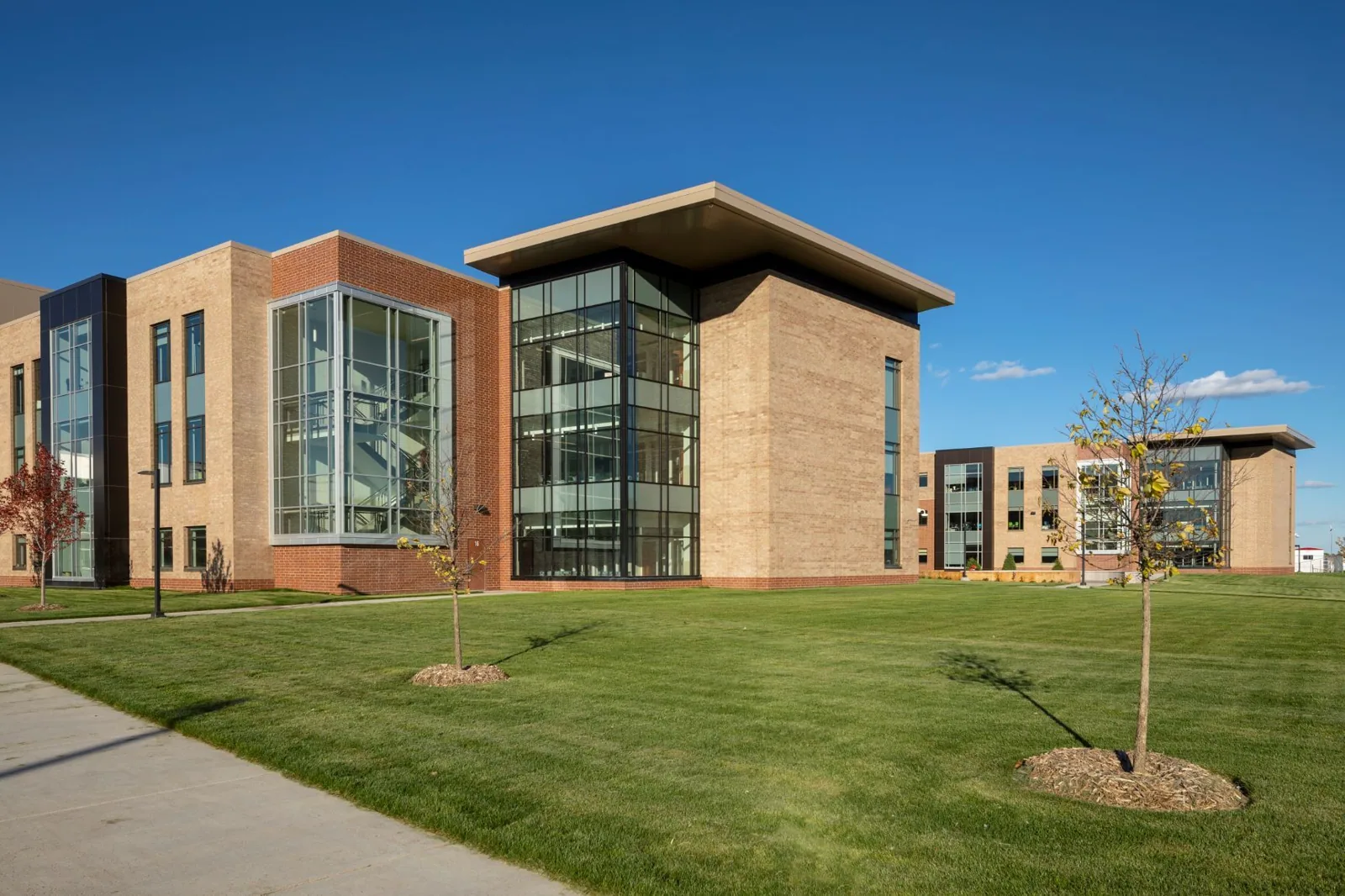Commercial Roofing for School Districts in Irving, TX